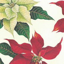 Poinsettia Print Christmas Paper ~ Rossi Italy